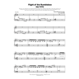 Flight of the Bumblebee (spy remix)
